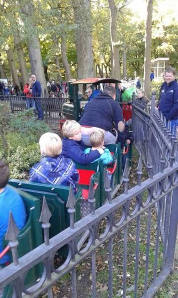 Прикольные картинки (95 фото)