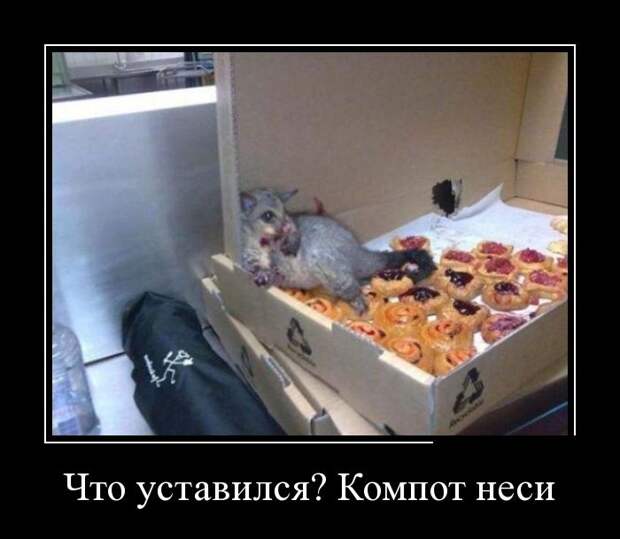 Демотиваторы  демотиваторы, прикол, смех, юмор