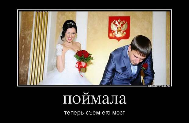 Демотиваторы демотиваторы, прикол, юмор