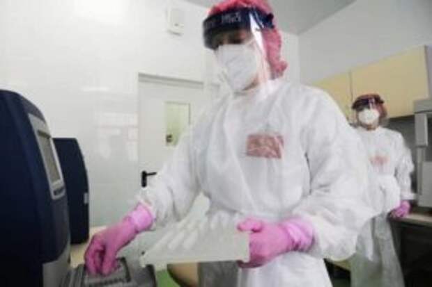 Первый случай оспы обезьян подтвержден в России