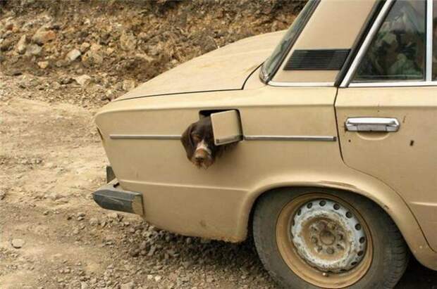 Жёсткие и позитивные автоприколы (39 фото) Жёсткие и позитивные автоприколы (39 фото)