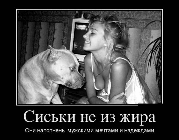 Демотиваторы демотиваторы, прикол, смех, юмор