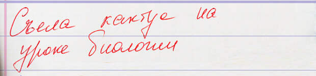 ЭТО ПАРТААА!!! Совет №3: что делать с ребенком, который дома все отвечает, а из школы приносит одни двойки ЭТО ПАРТААА!!! Совет №3: что делать с ребенком, который дома все отвечает, а из школы приносит одни двойки
