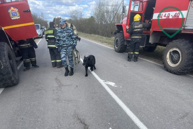 Что известно о подрыве опоры ЛЭП под Гатчиной, который в ФСБ назвали диверсией
