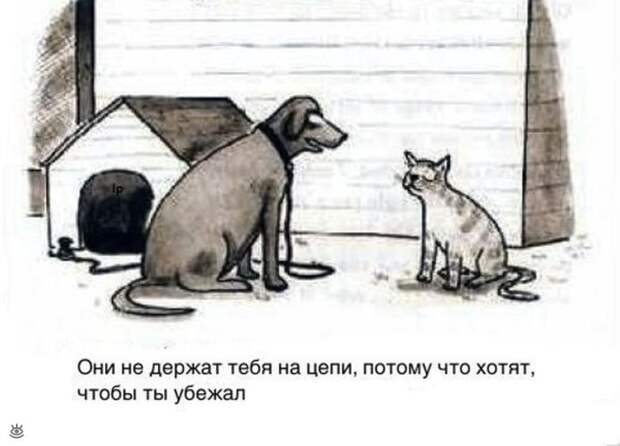 Самые разные курьёзы 12
