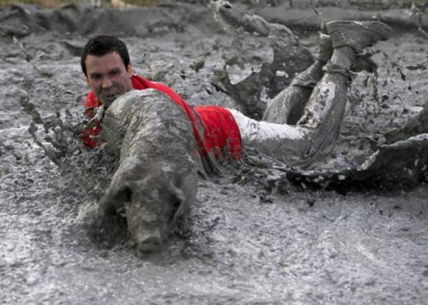 Ловля свиней в грязи на Festival du Cochon-2015 (17 фото)