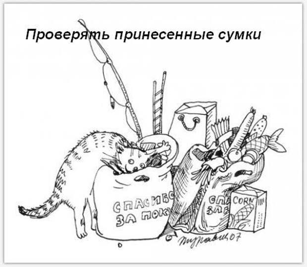 Обязанности кота по дому!