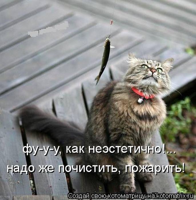 Мысли вслух :)