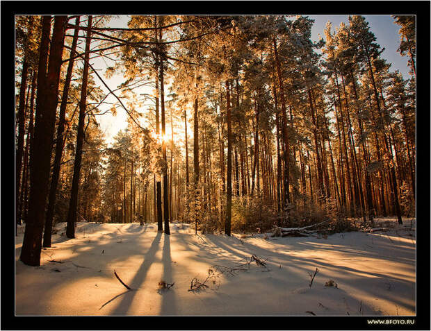 5 красивая зима (700x538, 223Kb)