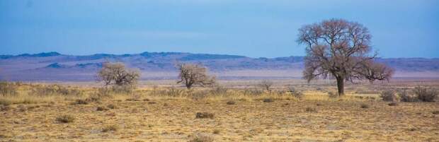 В Карагандинской области ищут пропавшего в степи мальчика