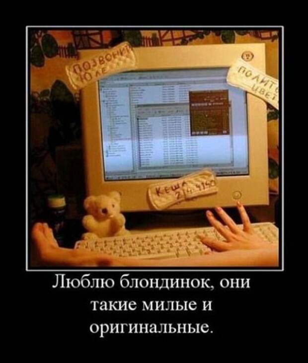18 веселых демотиваторов о блондинках блондинка, демотиватор