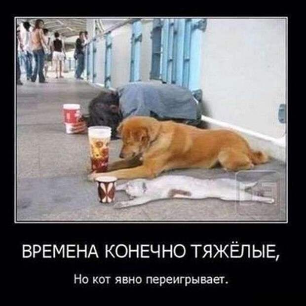 Демотиваторы Демотиваторы
