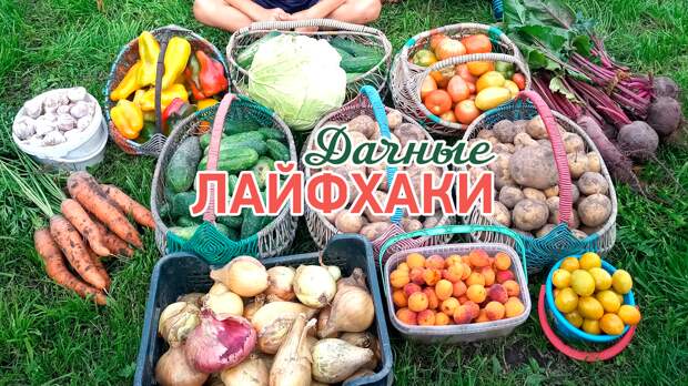 Навигация по каналу