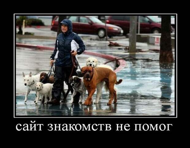 Пятничная подборка демотиваторов демотиватор, юмор