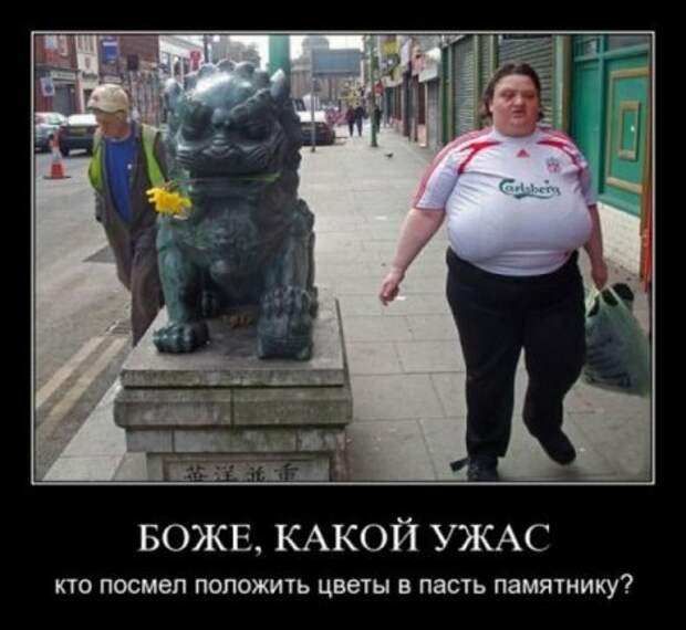 Картинки демотиваторы с приколом.