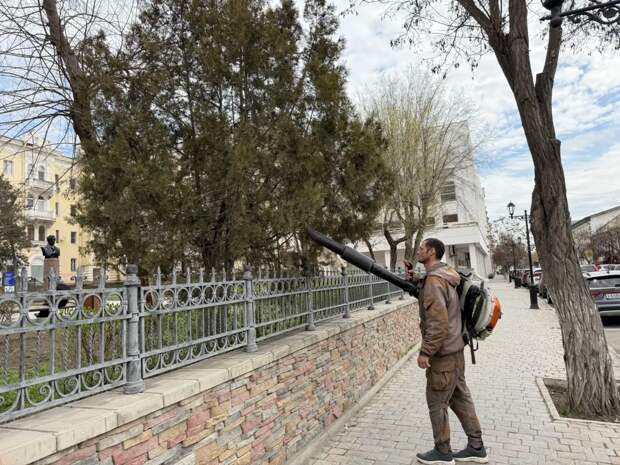 Астраханские туи продувают с помощью спецоборудования