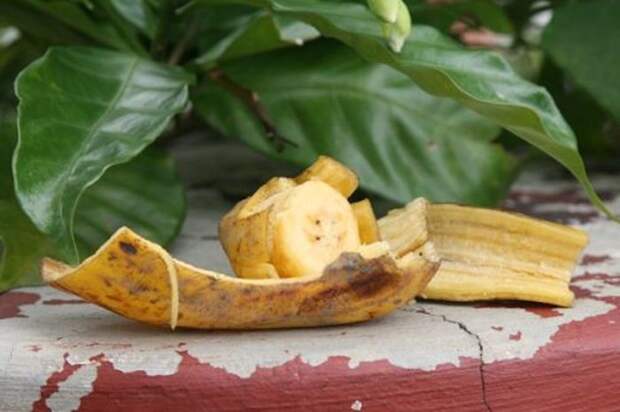 Чем полезны банановые шкурки