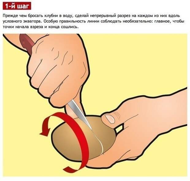 Чистим варёную картошку от кожуры за 1 секунду! Чистим варёную картошку от кожуры за 1 секунду!