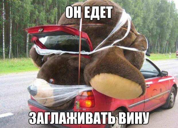 Смешные картинки с надписями прикол, юмор