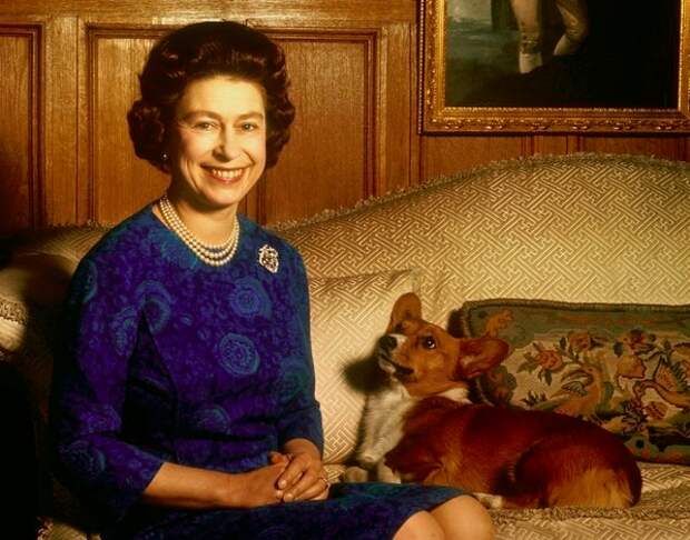 Елизавета II с вельшем.jpg Елизавета II с вельшем.jpg