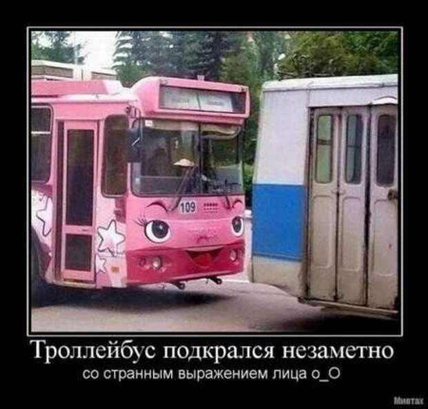 Фотографии с прикольными подписями, новые демотиваторы.