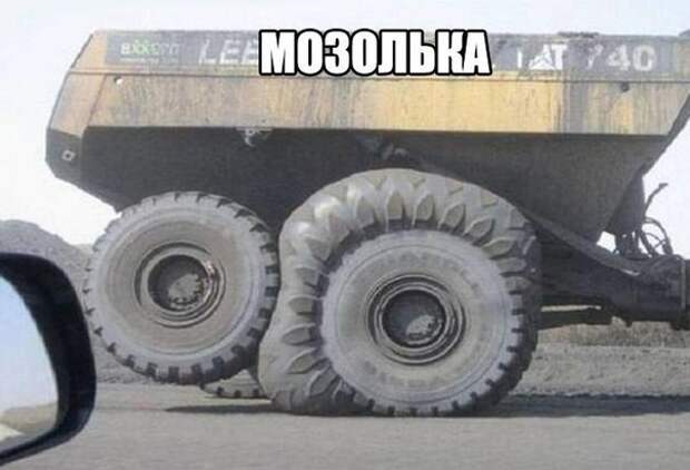 Смешные картинки с надписями прикол, юмор