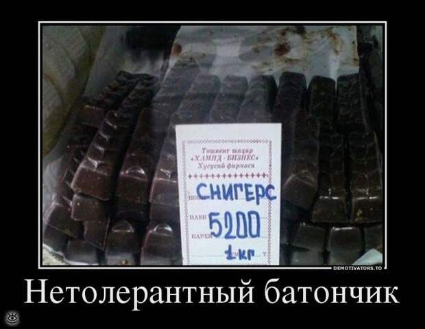В поисках смысла 16