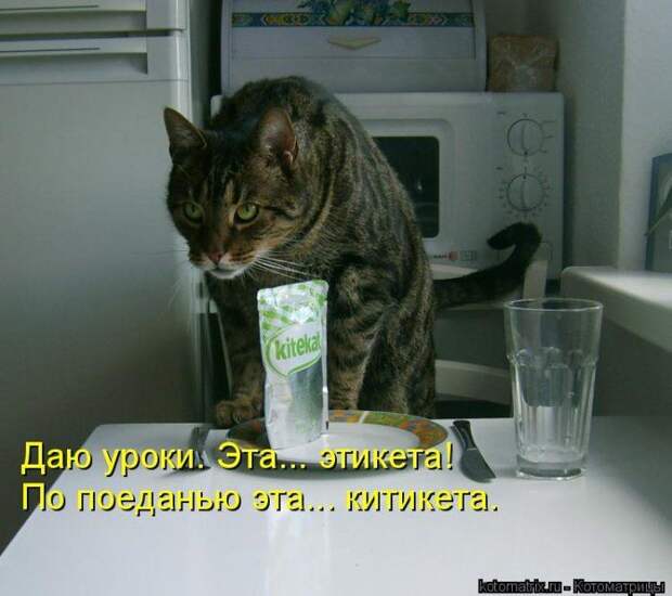Мысли вслух :)