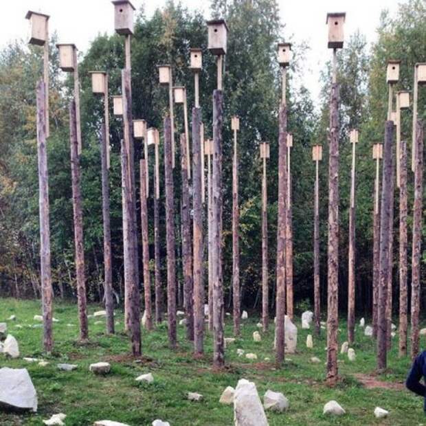 Фото приколы которые веселят.