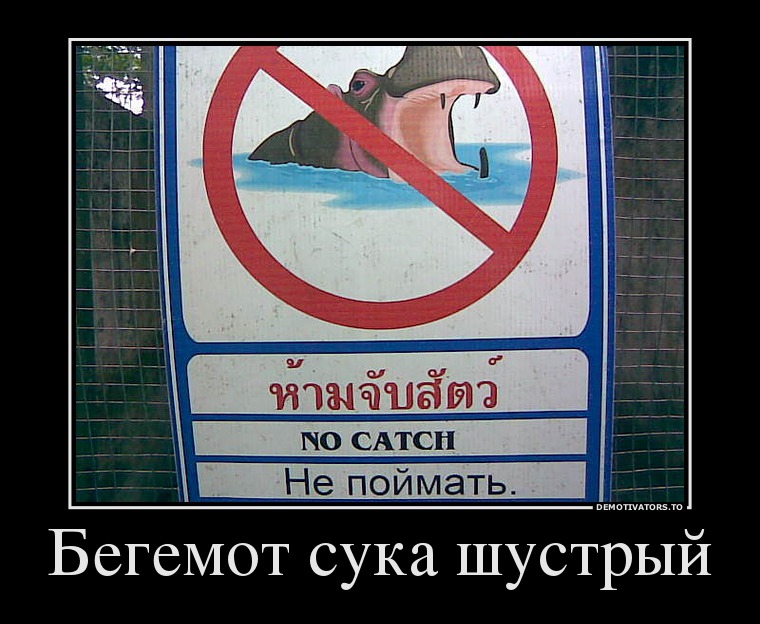 Демотиваторы демотиваторы