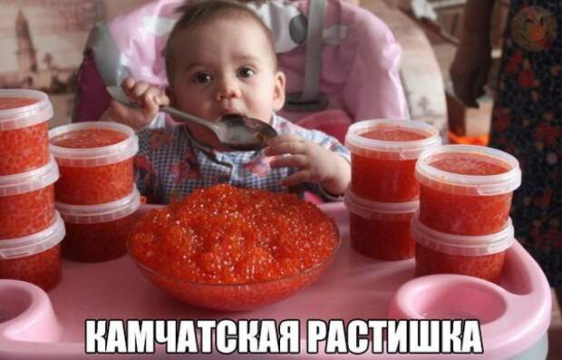 Смешные картинки с надписями прикол, юмор