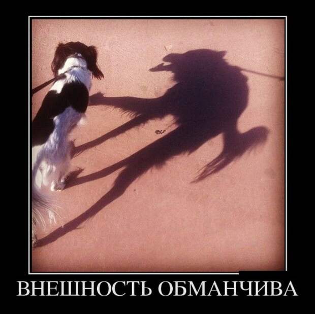 Демотиваторы (30 фото) Демотиваторы (30 фото)