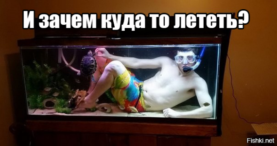 Приколы.