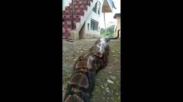 Video: video_2024-02-07_12-53-05.mp4