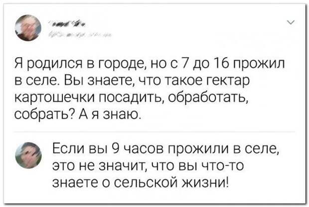 Смешные комментарии к постам в социальных сетях
