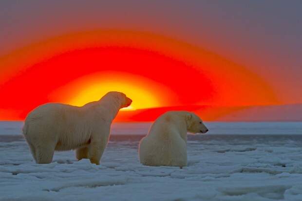 26 удивительных фото красивые фотографии, природа, фото