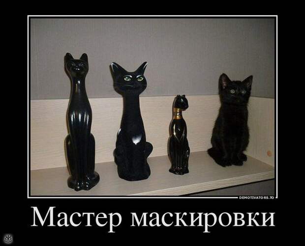Бабье лето прошло! 17