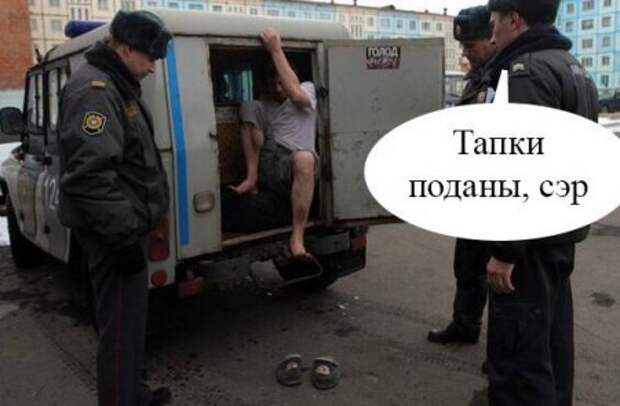 Фото приколы дома в тепле.