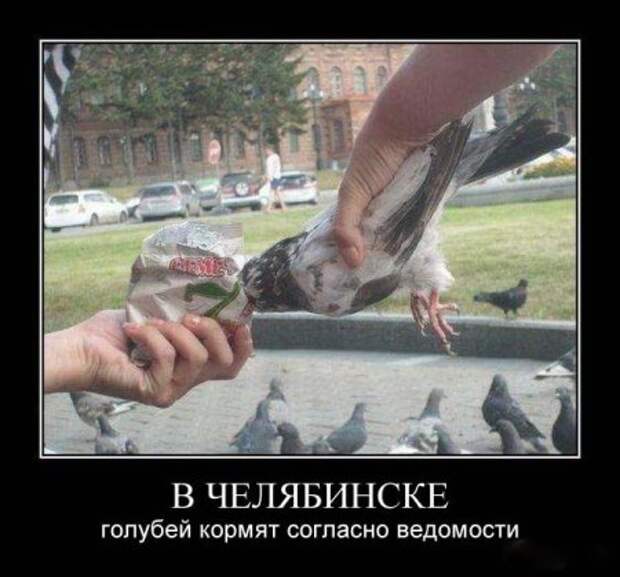 Ржачная порция демок