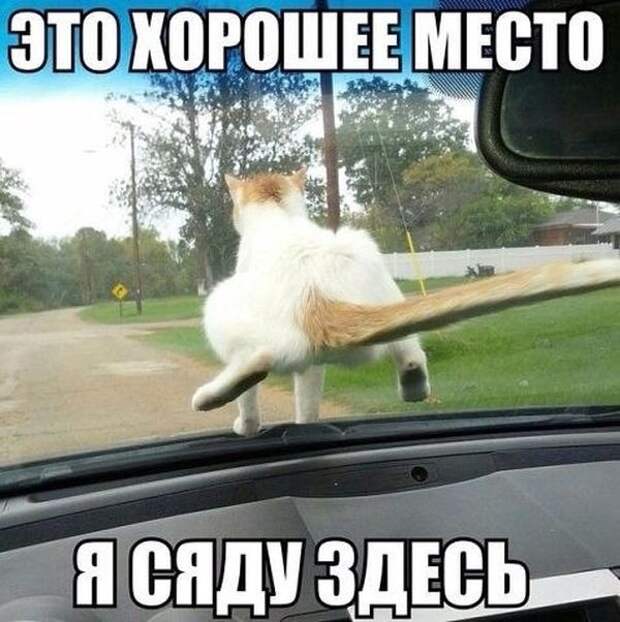Подборка автоприколов. Часть 214 Подборка автоприколов. Часть 214 авто, автоприколы, приколы