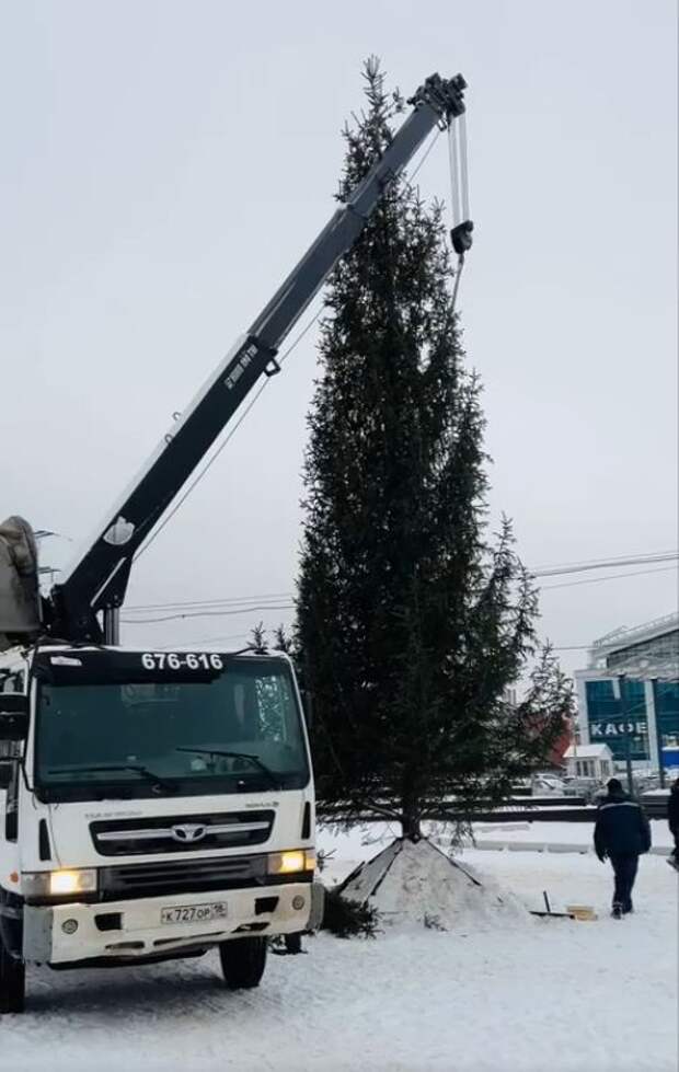 В парках Ижевска начали установку новогодних ёлок