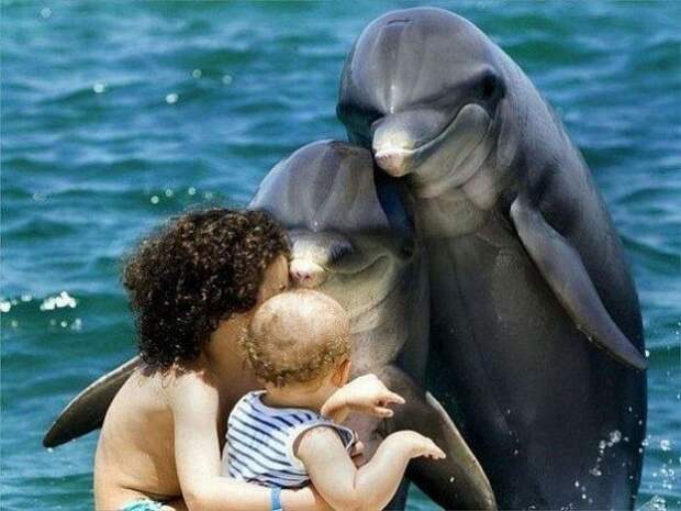 Фотоподборка