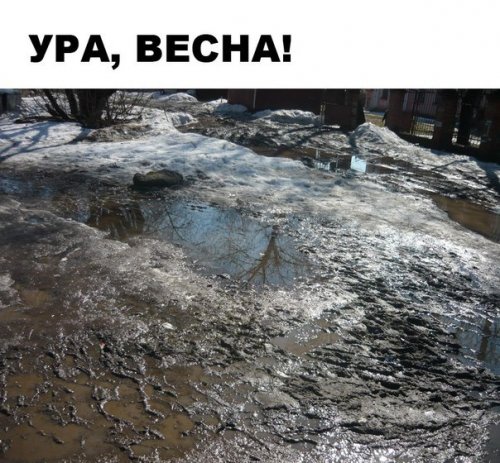 Анекдоты для настроения (21 шт)
