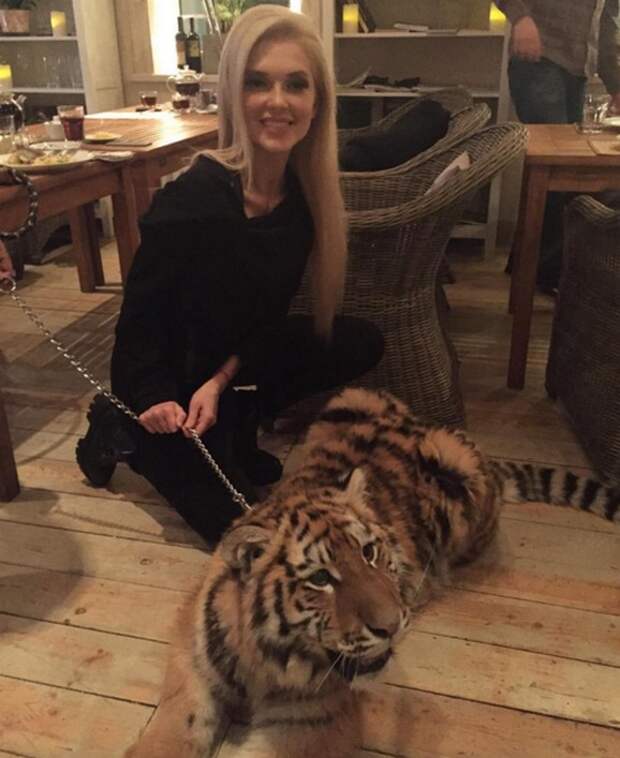 Солистке «ВИА Гры» Эрике Герцег подарили тигра
