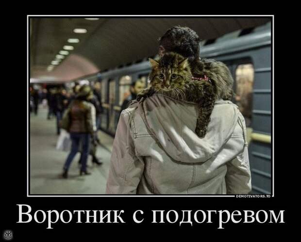 Место встречи изменить нельзя! 18