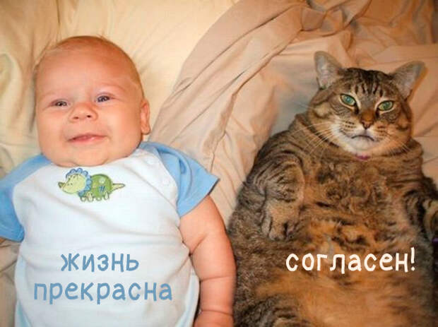 Юмор и прикольные картинки Юмор и прикольные картинки