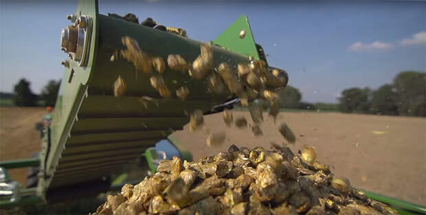 mobilnuj_zaotovchik_pellet_krone-premos_5000_1.jpg