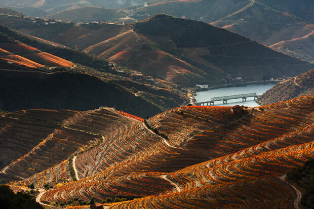 Porto Convention & Visitors Bureau/CC BY-NC-ND 2.0