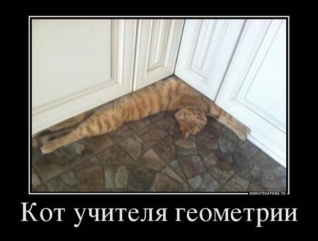 Демотиваторы демотиваторы