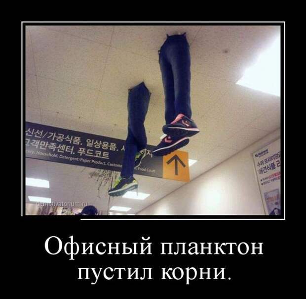 Демотиваторы (30 фото)